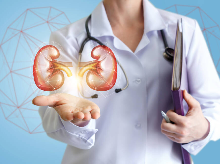 Kidney Care in Jupiter - A nephrologist in Jupiter will help keep your kidneys as healthy as possible