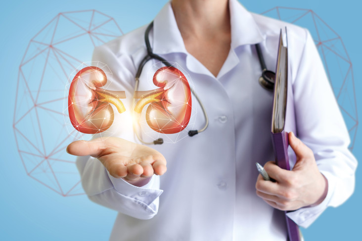 Kidney Care in Jupiter - A nephrologist in Jupiter will help keep your kidneys as healthy as possible